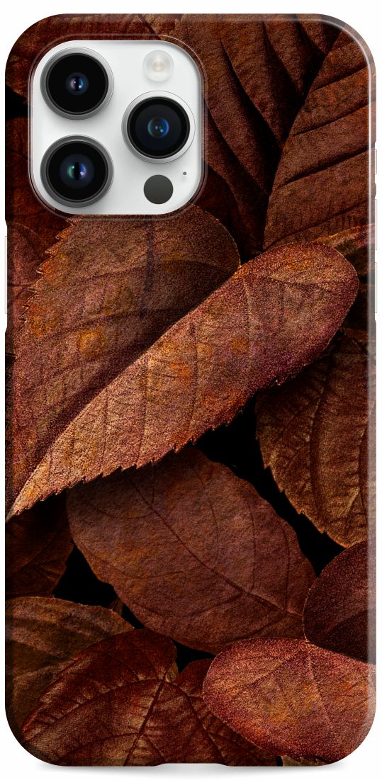 Open image in slideshow, iPhone 14 Pro Max Case Autumn Leaves Design Set
